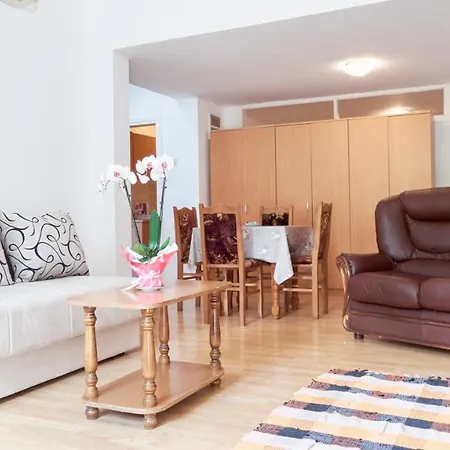 Jankovic U Centru Apartman *