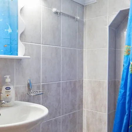 Jankovic U Centru Apartman