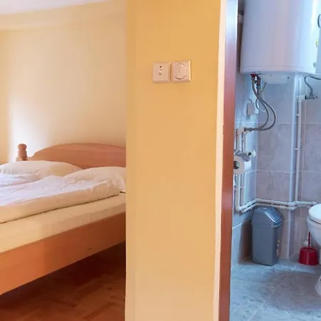 Jankovic U Centru Apartman *