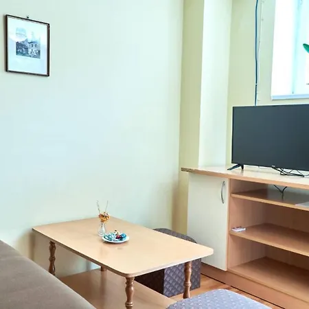 Jankovic U Centru Apartman Sokobanja