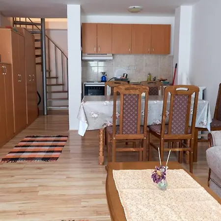 Jankovic U Centru Sokobanja