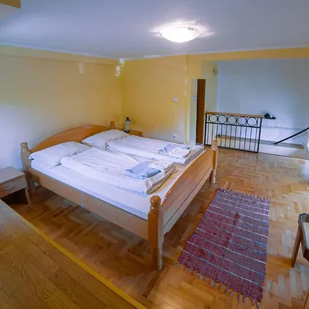 Jankovic U Centru Apartman