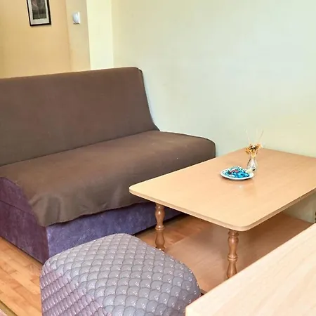 Jankovic U Centru Apartman Sokobanja