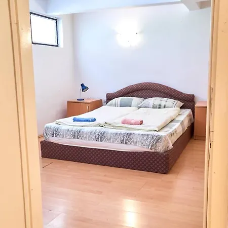 Jankovic U Centru Apartman *
