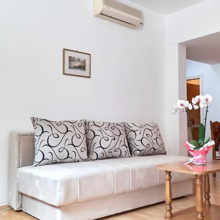 Apartman Jankovic U Centru *