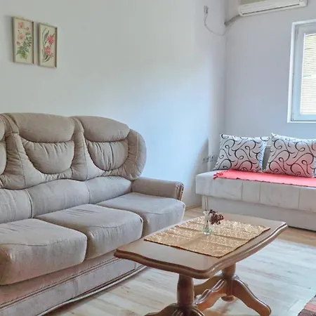 Jankovic U Centru Apartman Sokobanja
