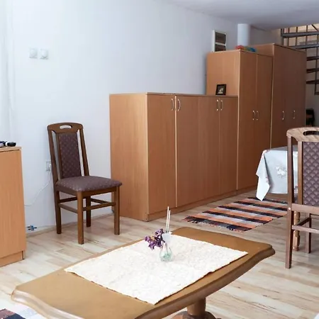 Jankovic U Centru * Sokobanja