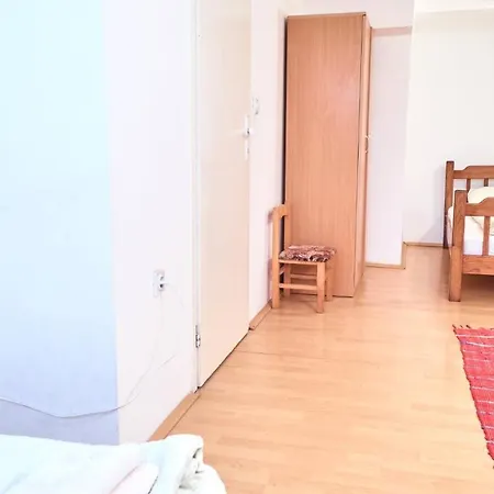 Jankovic U Centru Apartman *