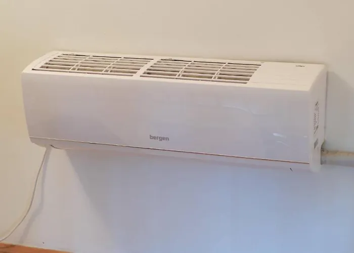 Jankovic U Centru * Soko Banja