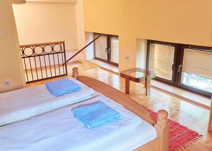 Jankovic U Centru * Soko Banja