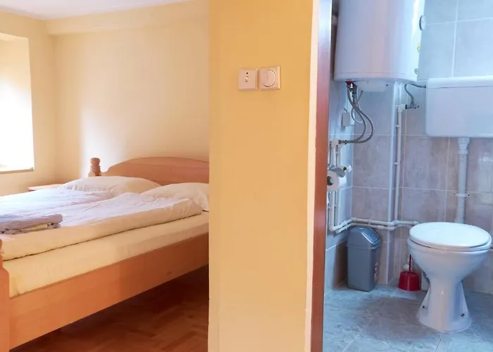 Jankovic U Centru Lägenhet *