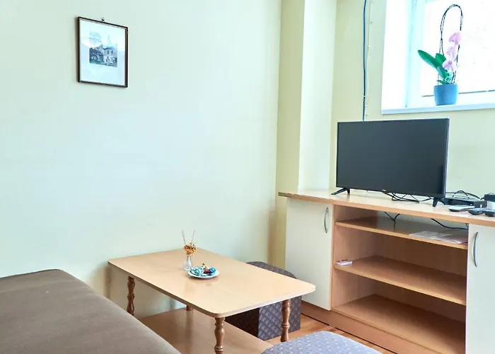 Jankovic U Centru Lägenhet Soko Banja