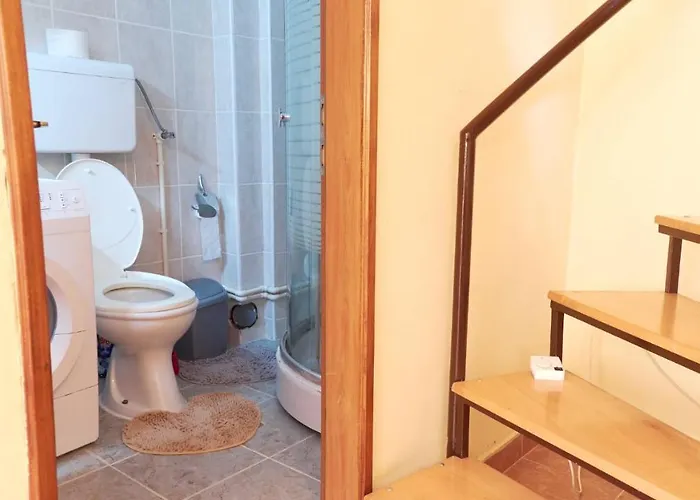 Jankovic U Centru Lägenhet Soko Banja