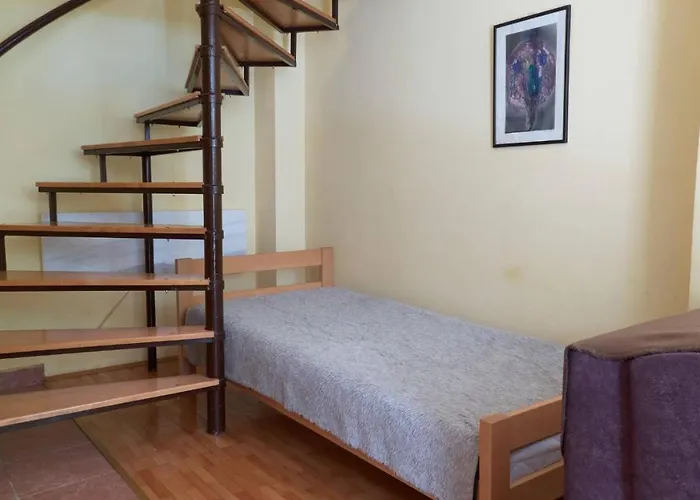 Jankovic U Centru Soko Banja