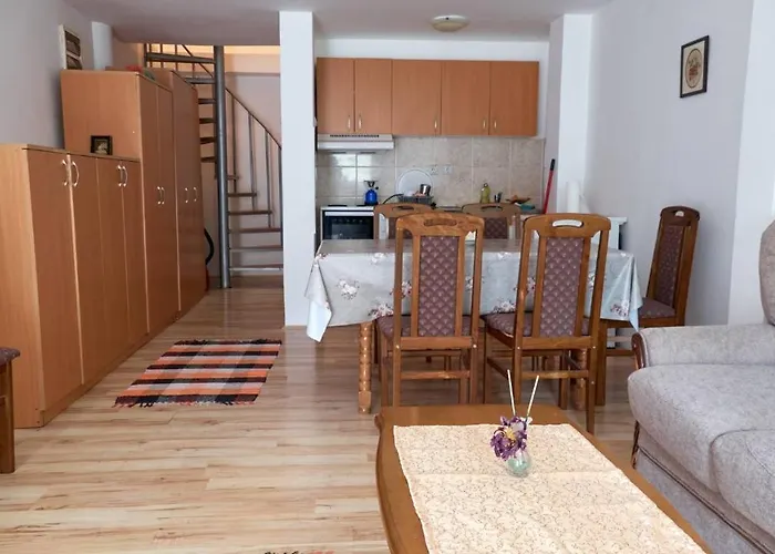 Jankovic U Centru Soko Banja