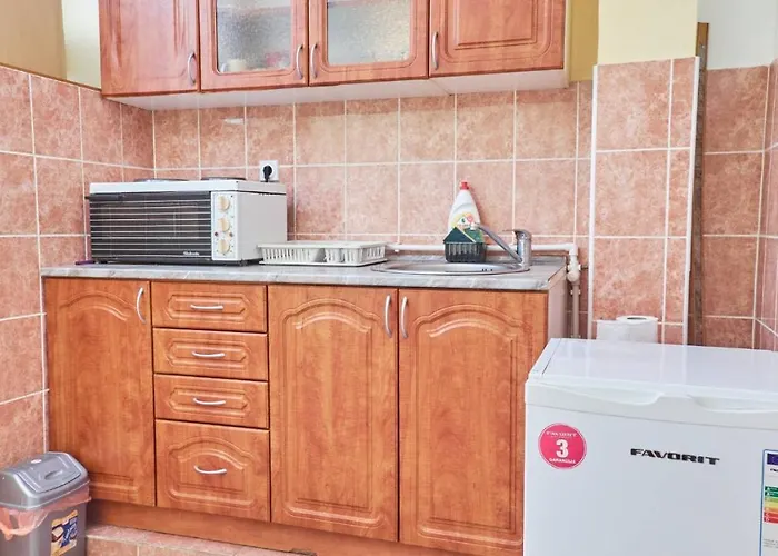 Lägenhet Jankovic U Centru Soko Banja