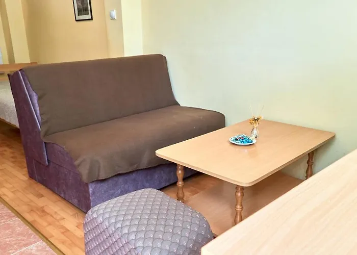 Jankovic U Centru Lägenhet Soko Banja