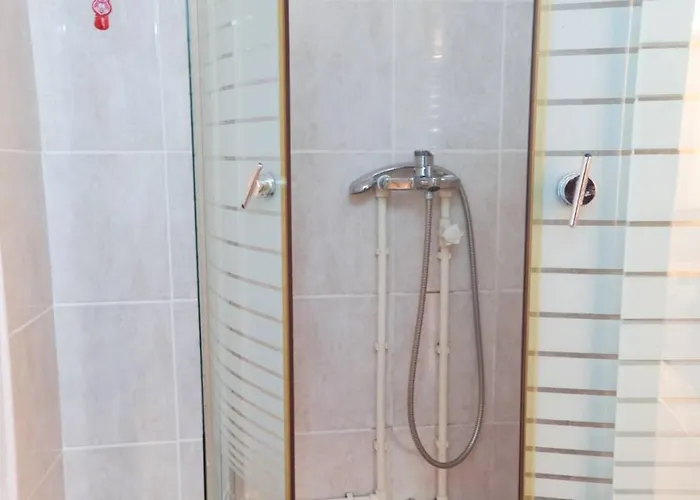 Jankovic U Centru Lägenhet Soko Banja