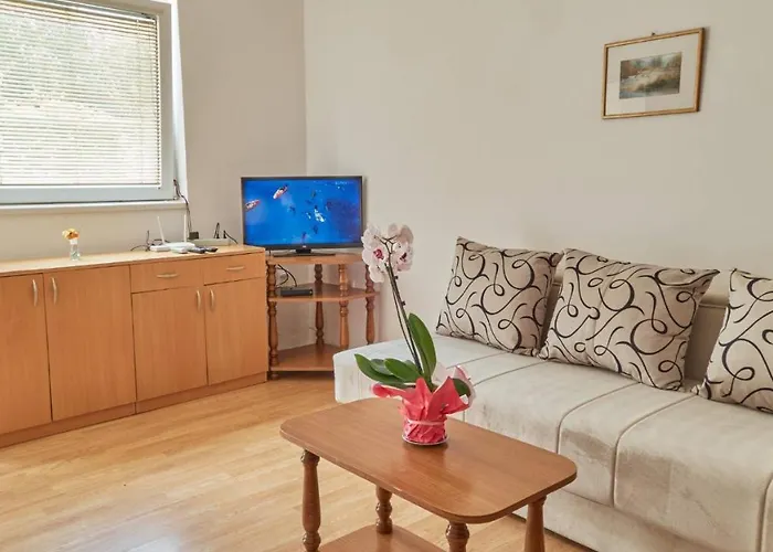 Jankovic U Centru Soko Banja