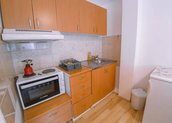 Jankovic U Centru Lägenhet