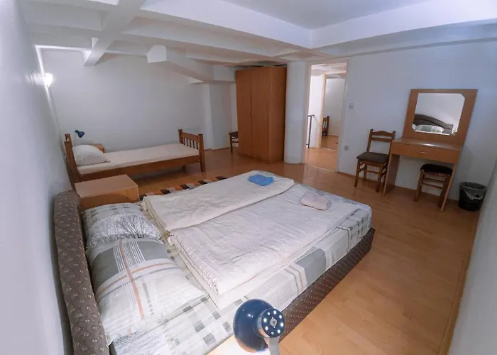 Lägenhet Jankovic U Centru *