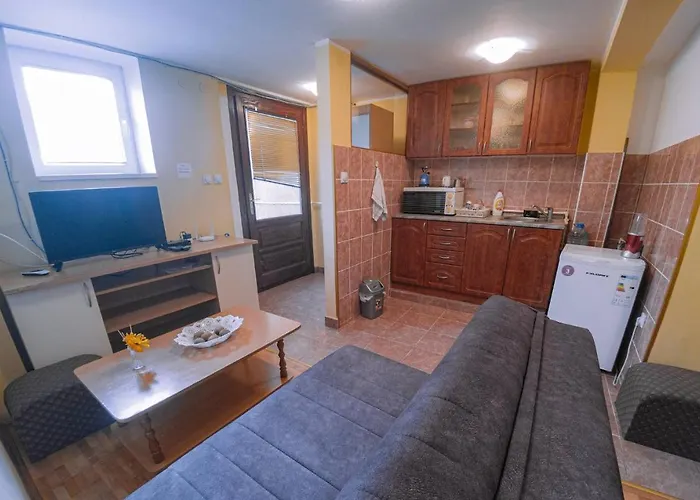 Jankovic U Centru Soko Banja