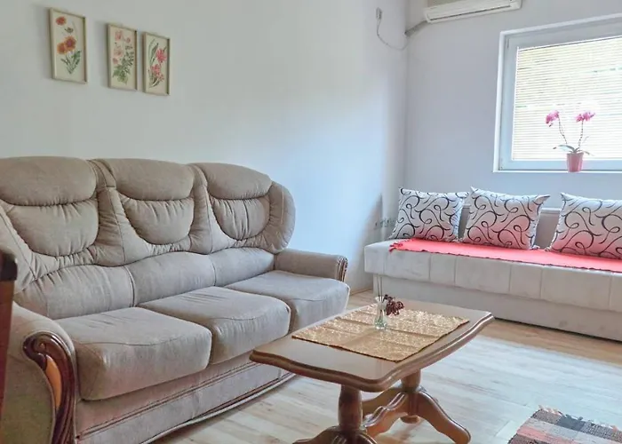 Jankovic U Centru Lägenhet Soko Banja