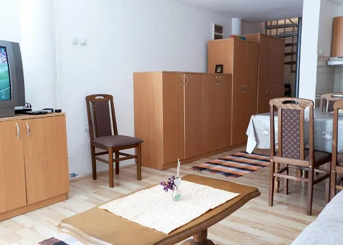 Jankovic U Centru * Soko Banja